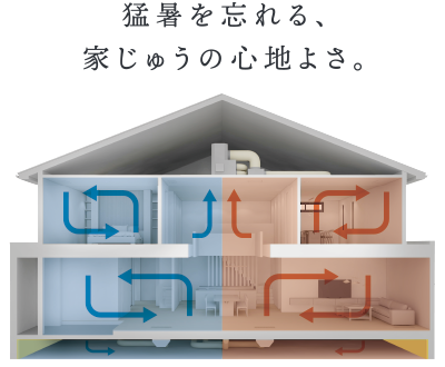 猛暑を忘れる家中の心地よさ