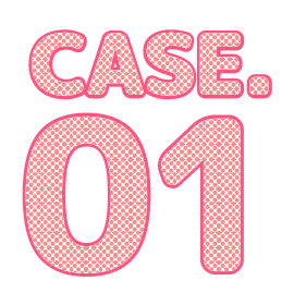 Case.01