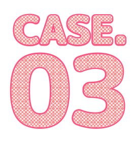 Case.01